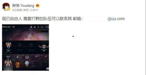 外网爆料张珊珊视频,揭秘背后真相与争议